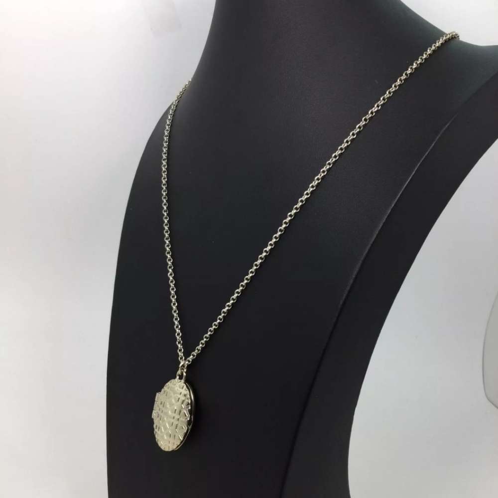 Ann Taylor Oval Locket Pendant Long Chain Necklace NWT - Picture 3 of 6